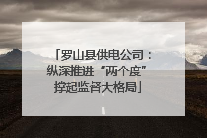 罗山县供电公司：纵深推进“两个度” 撑起监督大格局